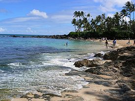 ���j�A�P�A�E�r�[�`